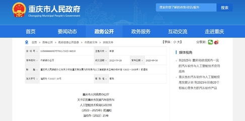 重庆信息技术咨询服务 政府官网指引与企业创新发展的双赢之道